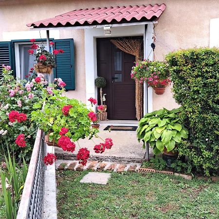Holiday Home Goga Drniš Exteriér fotografie