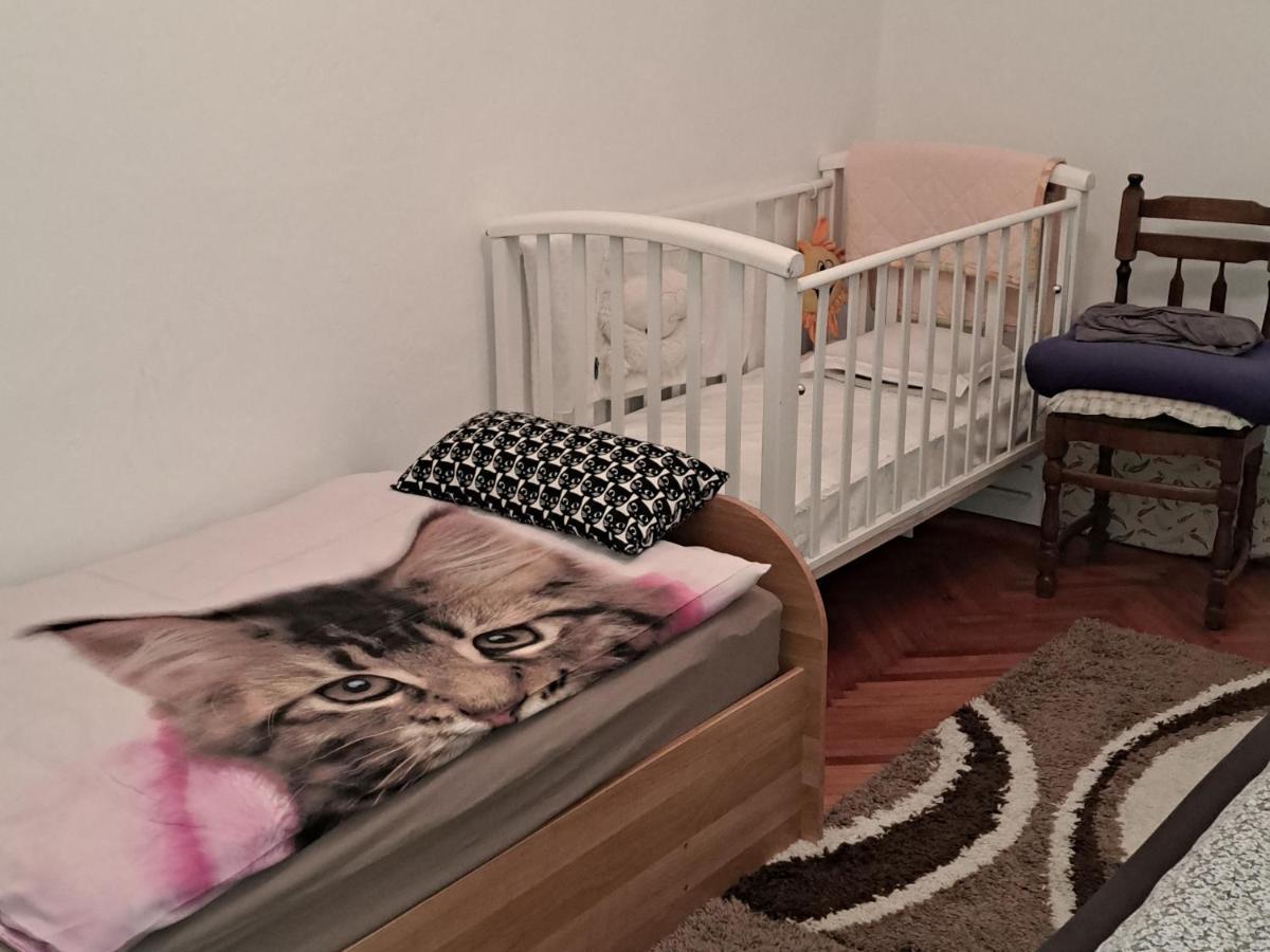 Holiday Home Goga Drniš Exteriér fotografie